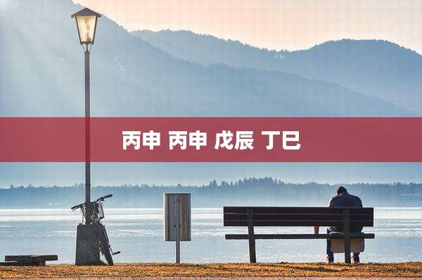 丙申 丙申 戊辰 丁巳