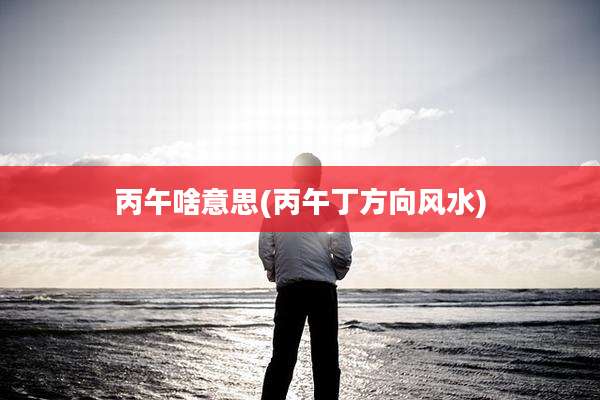 丙午啥意思(丙午丁方向风水)
