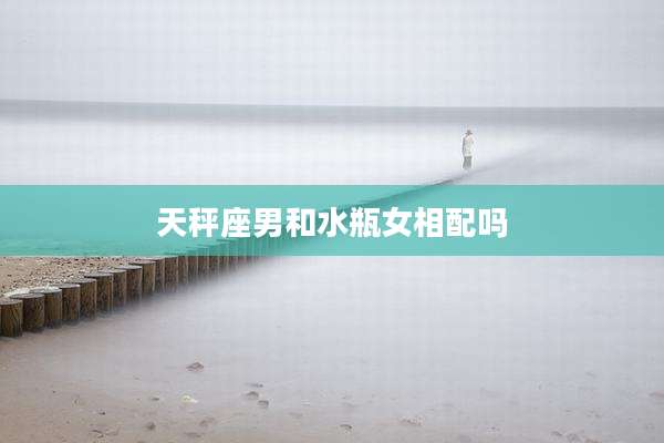天秤座男和水瓶女相配吗