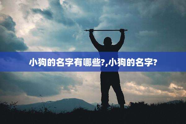 小狗的名字有哪些?,小狗的名字?