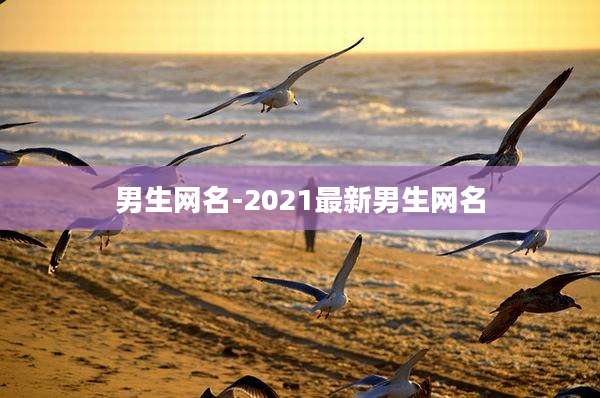 男生网名-2021最新男生网名