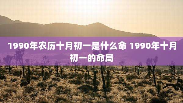 1990年农历十月初一是什么命 1990年十月初一的命局