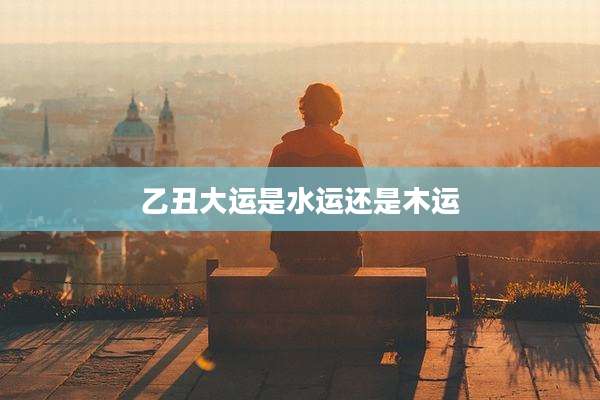 乙丑大运是水运还是木运