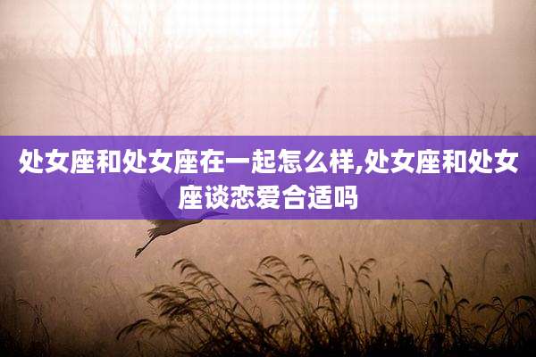 处女座和处女座在一起怎么样,处女座和处女座谈恋爱合适吗