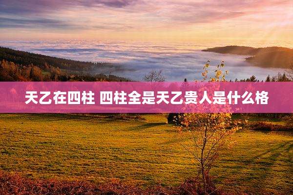 天乙在四柱 四柱全是天乙贵人是什么格