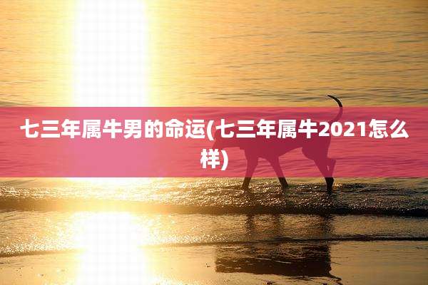 七三年属牛男的命运(七三年属牛2021怎么样)