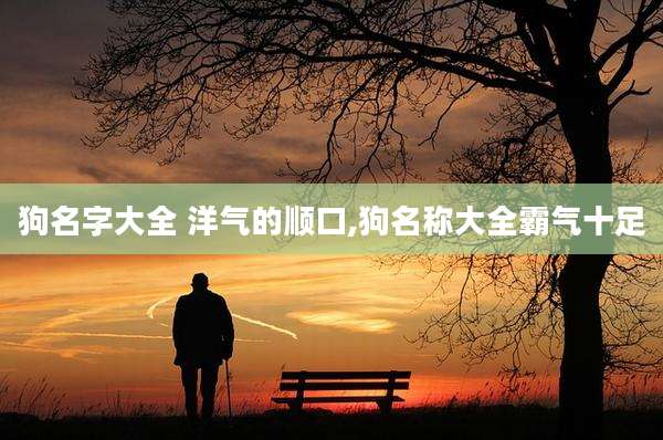 狗名字大全 洋气的顺口,狗名称大全霸气十足