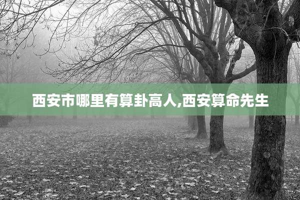 西安市哪里有算卦高人,西安算命先生