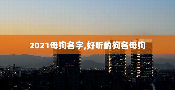 2021母狗名字,好听的狗名母狗