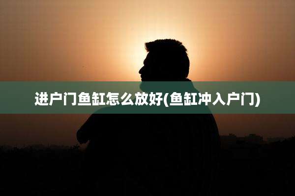 进户门鱼缸怎么放好(鱼缸冲入户门)