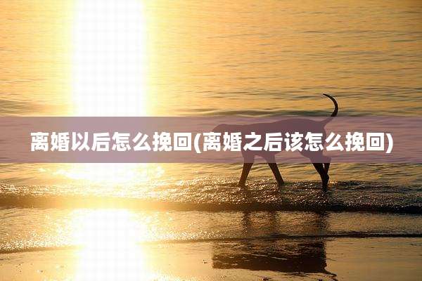 离婚以后怎么挽回(离婚之后该怎么挽回)