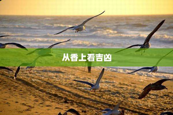 从香上看吉凶