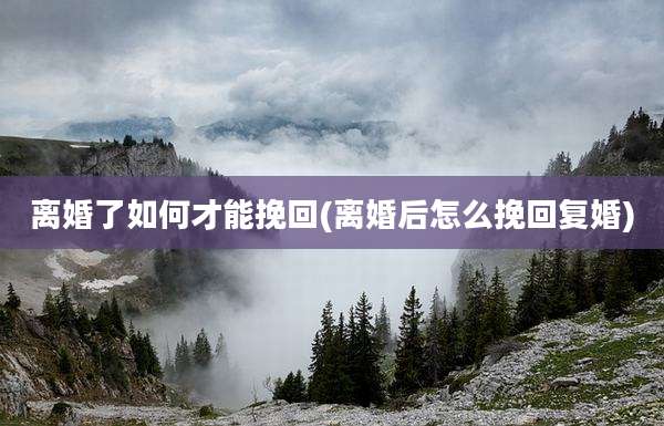 离婚了如何才能挽回(离婚后怎么挽回复婚)