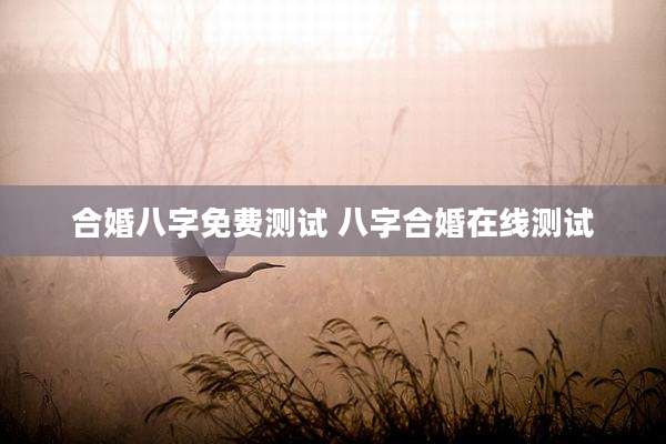 合婚八字免费测试 八字合婚在线测试