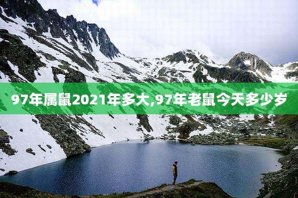 97年属鼠2021年多大,97年老鼠今天多少岁