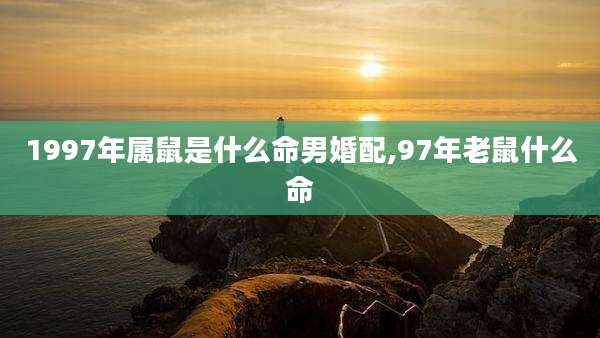 1997年属鼠是什么命男婚配,97年老鼠什么命
