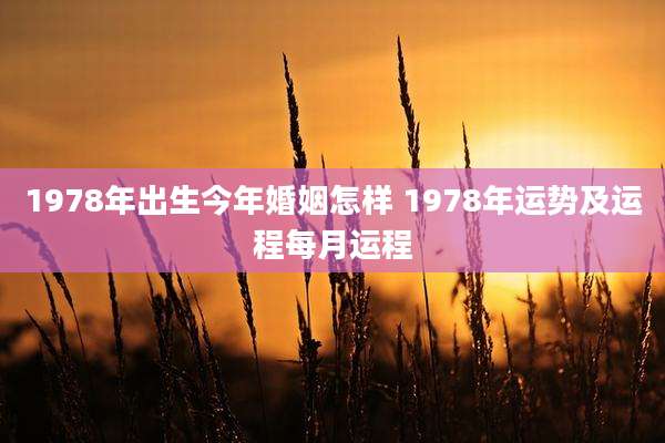 1978年出生今年婚姻怎样 1978年运势及运程每月运程
