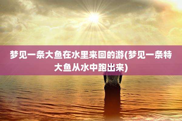 梦见一条大鱼在水里来回的游(梦见一条特大鱼从水中跑出来)