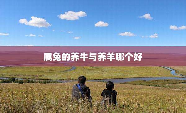 属兔的养牛与养羊哪个好