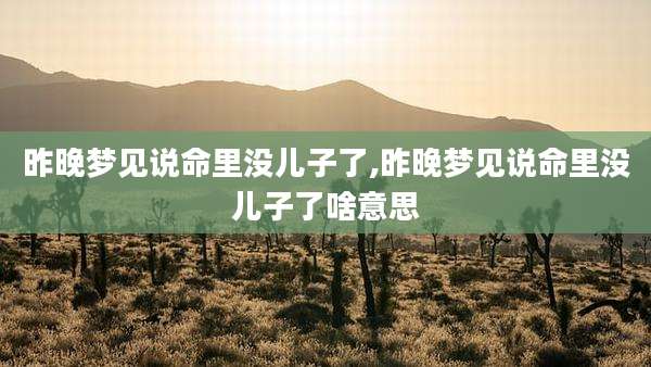 昨晚梦见说命里没儿子了,昨晚梦见说命里没儿子了啥意思