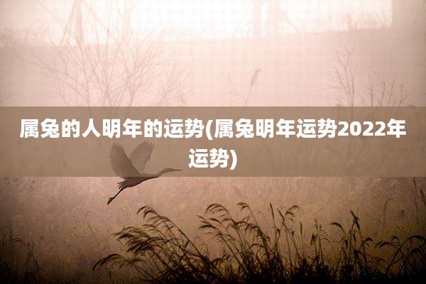 属兔的人明年的运势(属兔明年运势2022年运势)