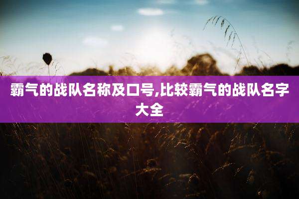 霸气的战队名称及口号,比较霸气的战队名字大全