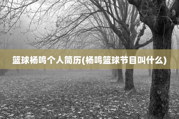 篮球杨鸣个人简历(杨鸣篮球节目叫什么)