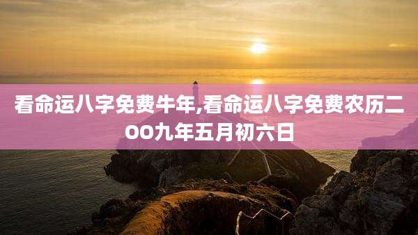 看命运八字免费牛年,看命运八字免费农历二OO九年五月初六日