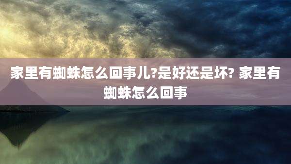 家里有蜘蛛怎么回事儿?是好还是坏? 家里有蜘蛛怎么回事
