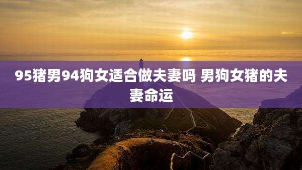 95猪男94狗女适合做夫妻吗 男狗女猪的夫妻命运