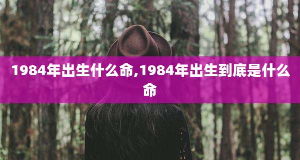 1984年出生什么命,1984年出生到底是什么命