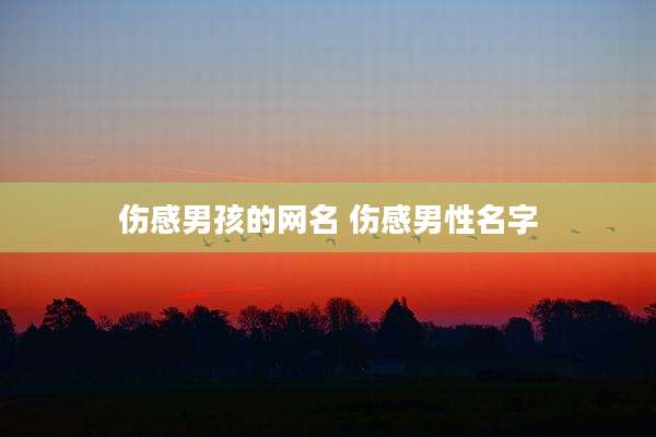 伤感男孩的网名 伤感男性名字