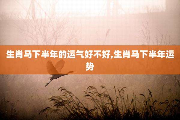 生肖马下半年的运气好不好,生肖马下半年运势