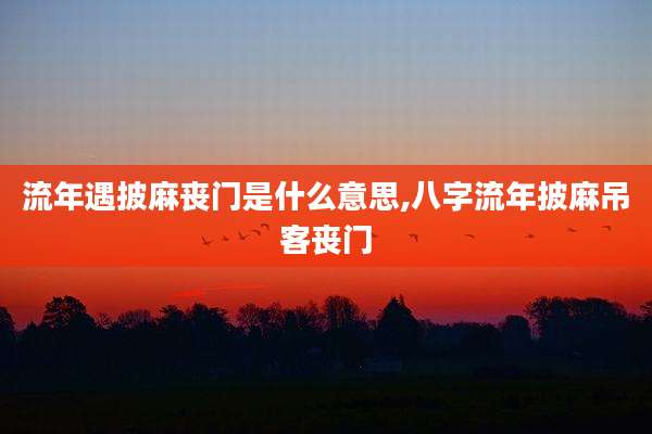 流年遇披麻丧门是什么意思,八字流年披麻吊客丧门