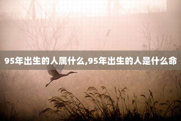95年出生的人属什么,95年出生的人是什么命