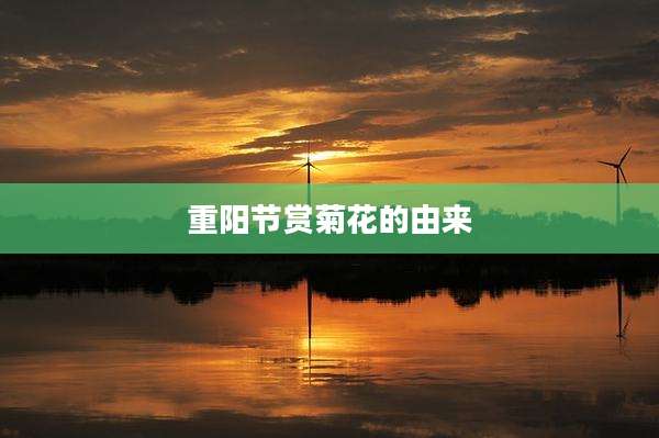 重阳节赏菊花的由来