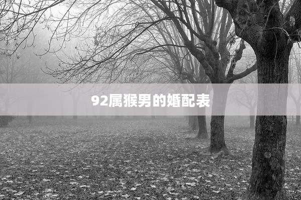 92属猴男的婚配表