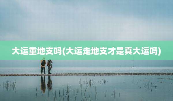 大运重地支吗(大运走地支才是真大运吗)