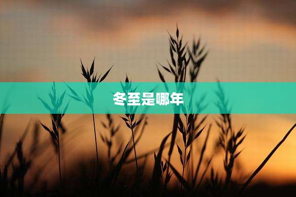 冬至是哪年