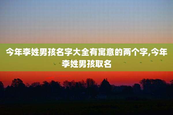 今年李姓男孩名字大全有寓意的两个字,今年李姓男孩取名
