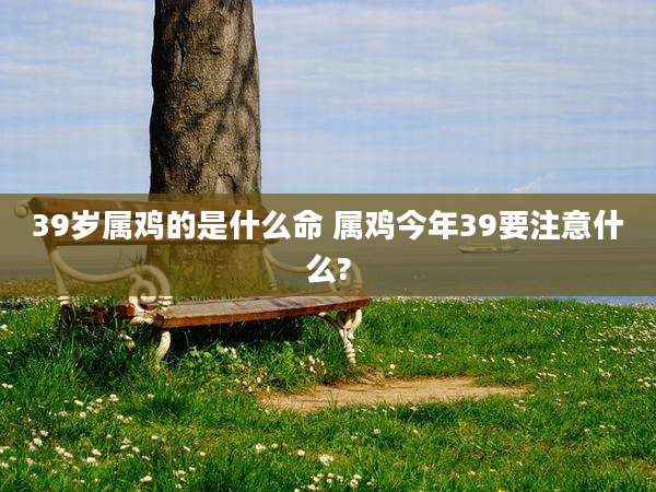 39岁属鸡的是什么命 属鸡今年39要注意什么?