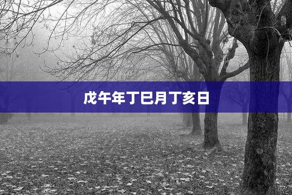 戊午年丁巳月丁亥日