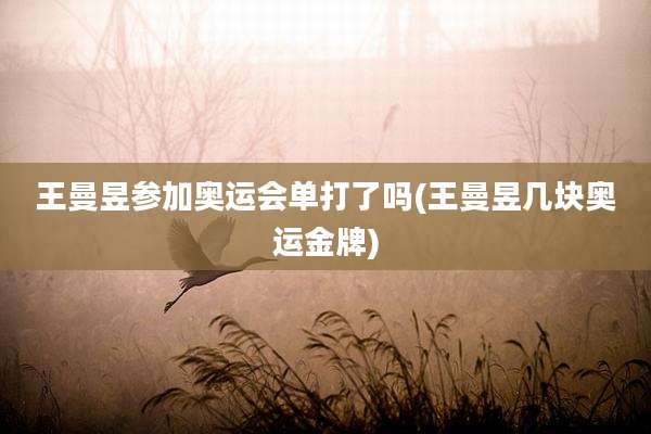 王曼昱参加奥运会单打了吗(王曼昱几块奥运金牌)