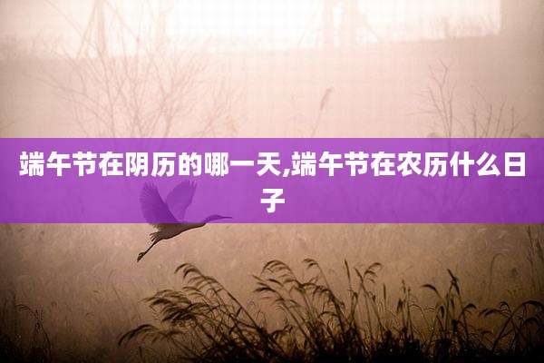 端午节在阴历的哪一天,端午节在农历什么日子