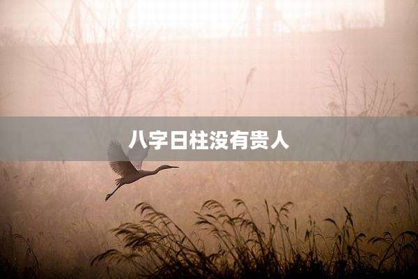 八字日柱没有贵人