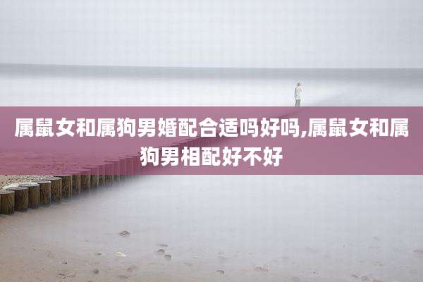 属鼠女和属狗男婚配合适吗好吗,属鼠女和属狗男相配好不好