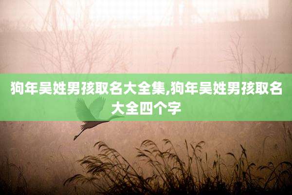 狗年吴姓男孩取名大全集,狗年吴姓男孩取名大全四个字