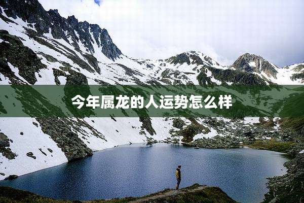 今年属龙的人运势怎么样