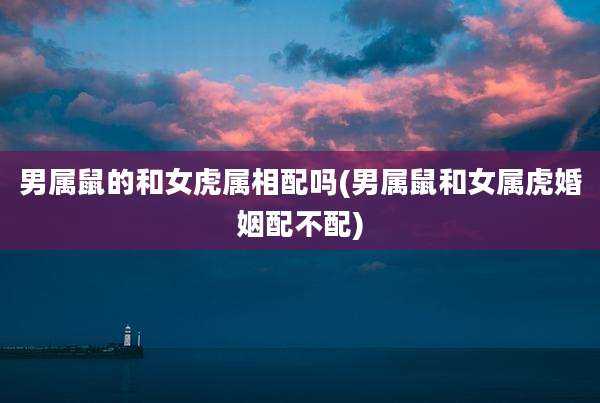 男属鼠的和女虎属相配吗(男属鼠和女属虎婚姻配不配)
