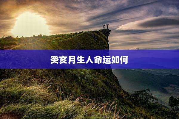 癸亥月生人命运如何